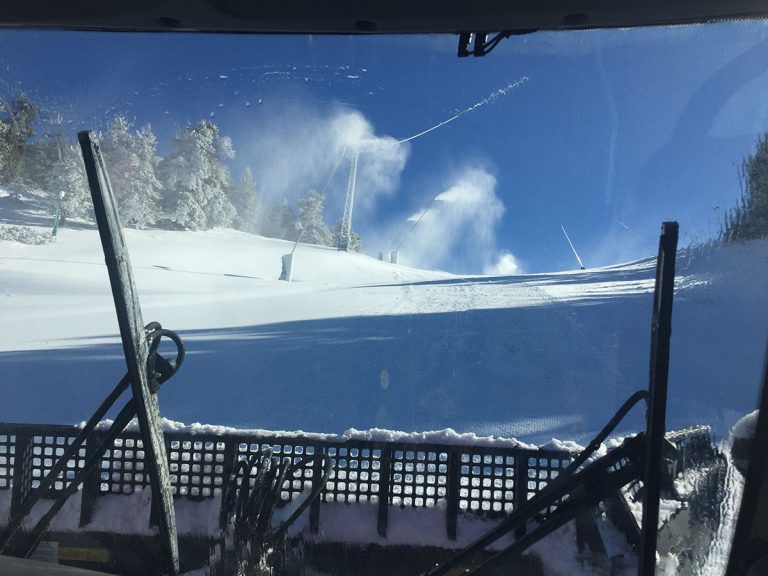 masella